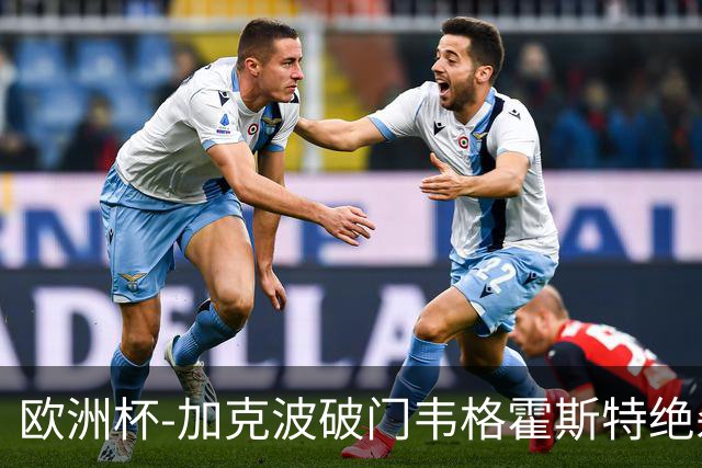 欧洲杯-加克波破门韦格霍斯特绝杀 荷兰2-1波兰